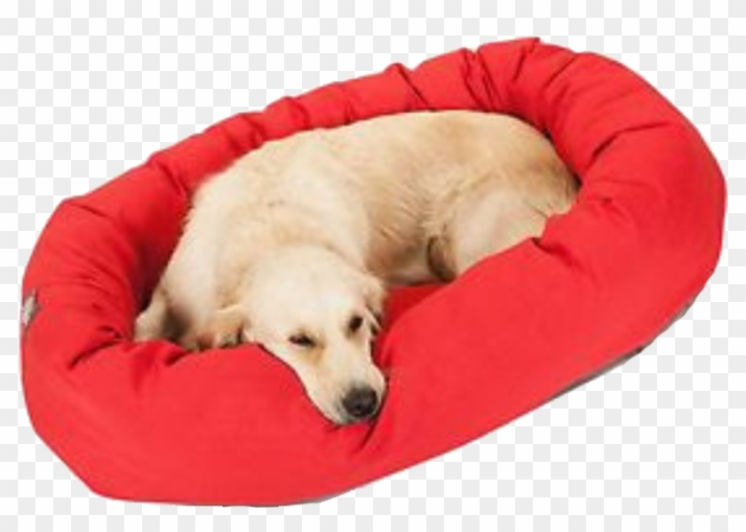 Uovo Dog Bed - Companion Dog Clipart