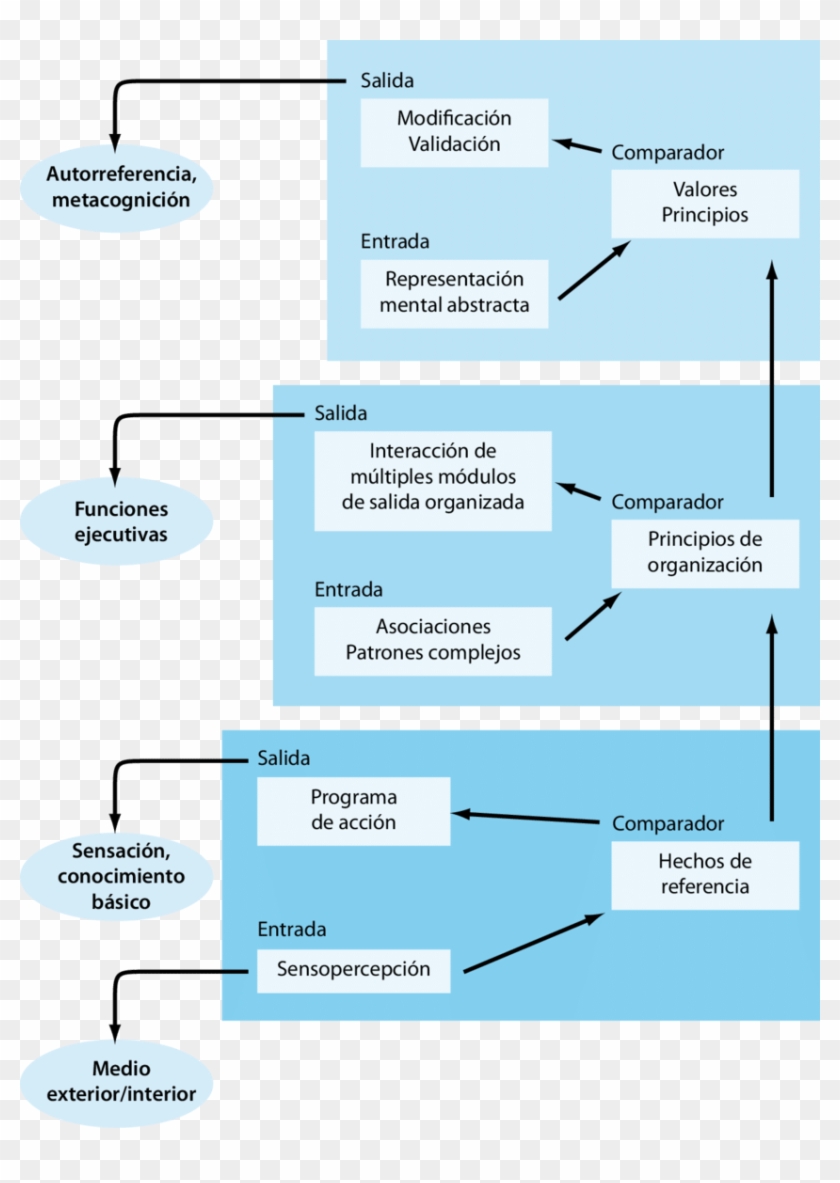 Modelo Conceptual De Stuss Redefinido - Modelo De Stuss Y Benson Clipart #5515232
