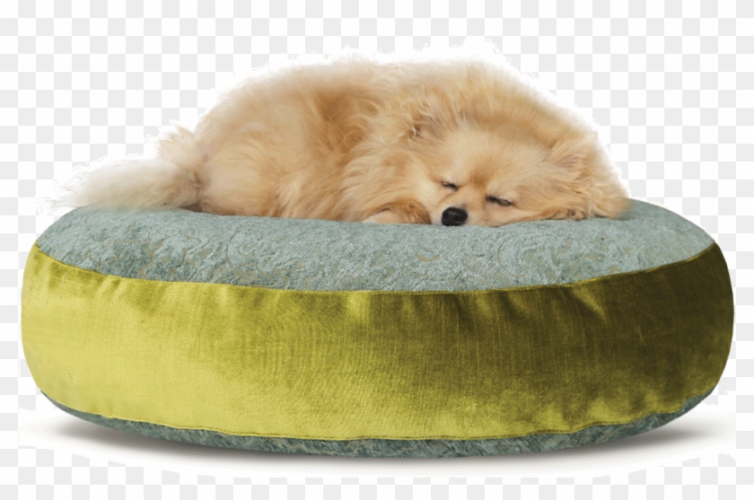 Luxury Velvet Dog Bed Large Teal Lime - Pomeranian Clipart #5515583