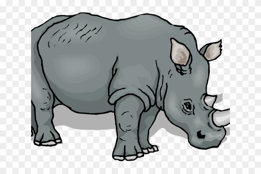 Jpg Library Download Rhino Clipart - Animals Drawing To Coloring - Png Download #5516016
