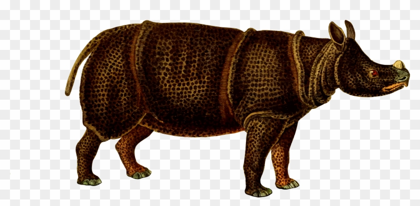 This Free Icons Png Design Of Rhinoceros 4 - Buffon Animal Clipart #5516102