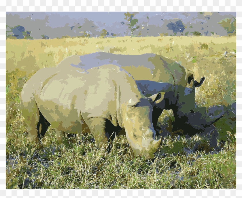 This Free Icons Png Design Of Rhinoceros In South Africa - Africa Clipart #5516185