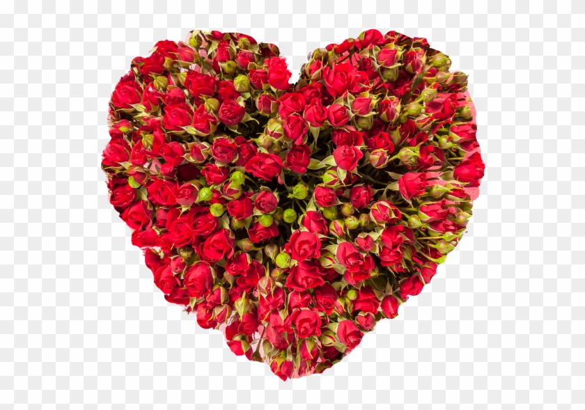 Heart With Roses - Stock Photography Clipart