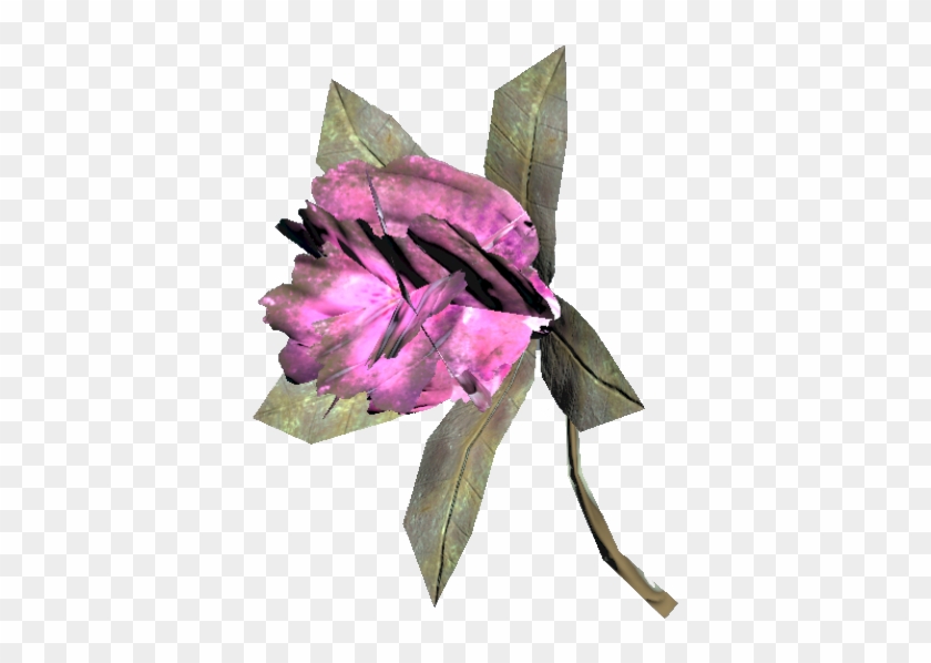 Rhododendron Flower - Rosa Glauca Clipart