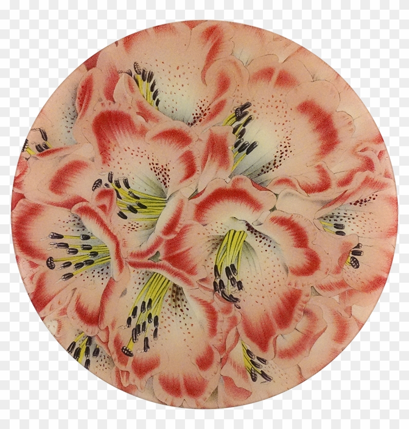 Peruvian Lily Clipart #5518400