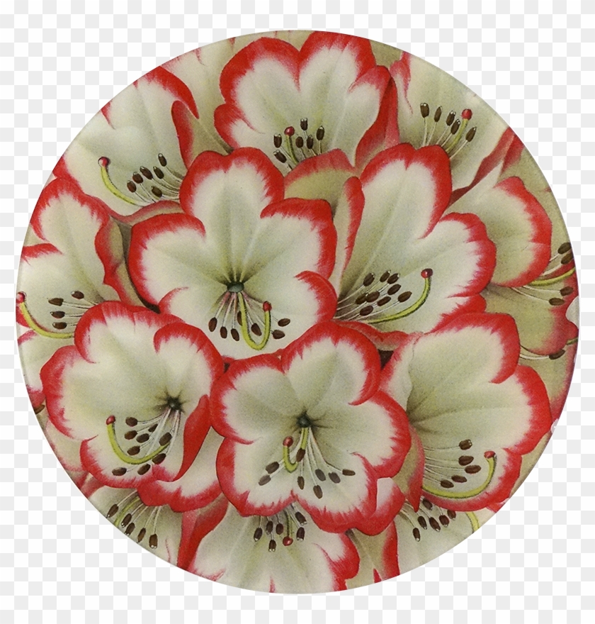 Lily Family Clipart #5518781