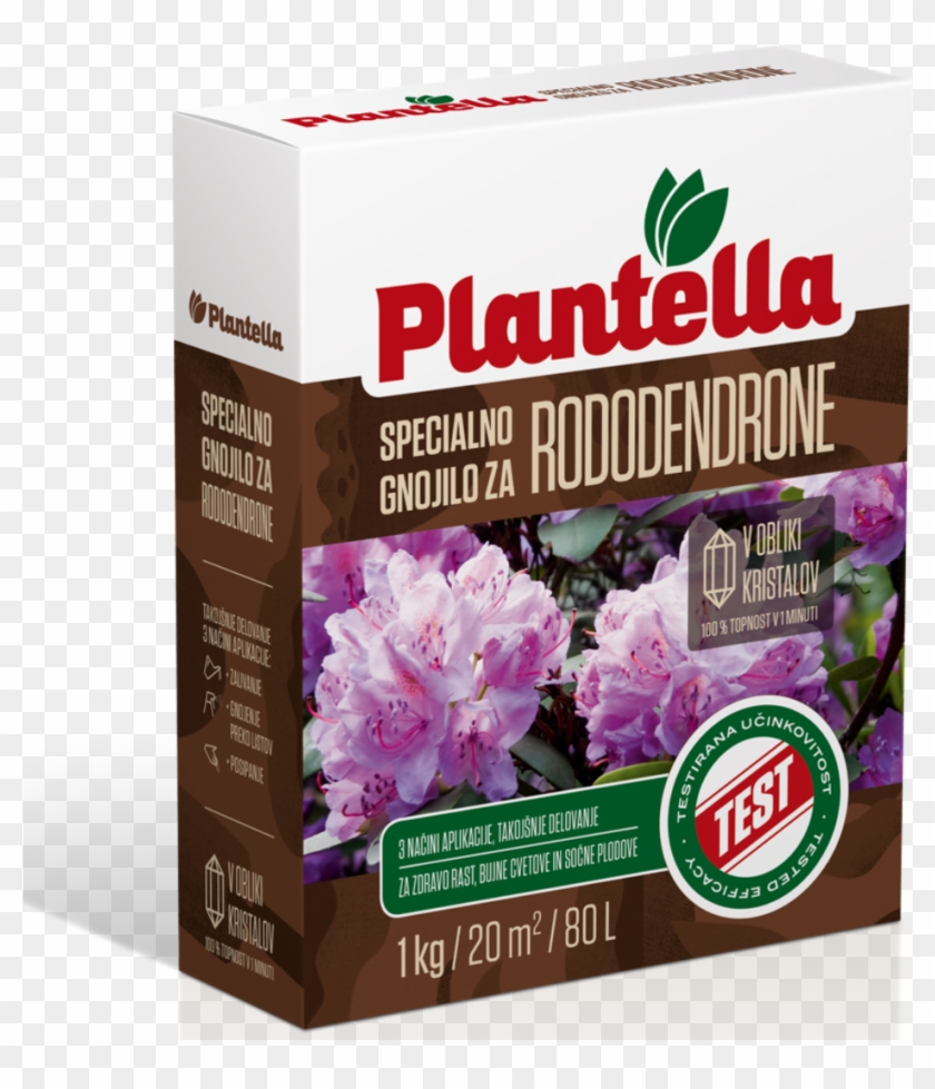 Special Fertilizer For Rhododendrons - Gilliflower Clipart