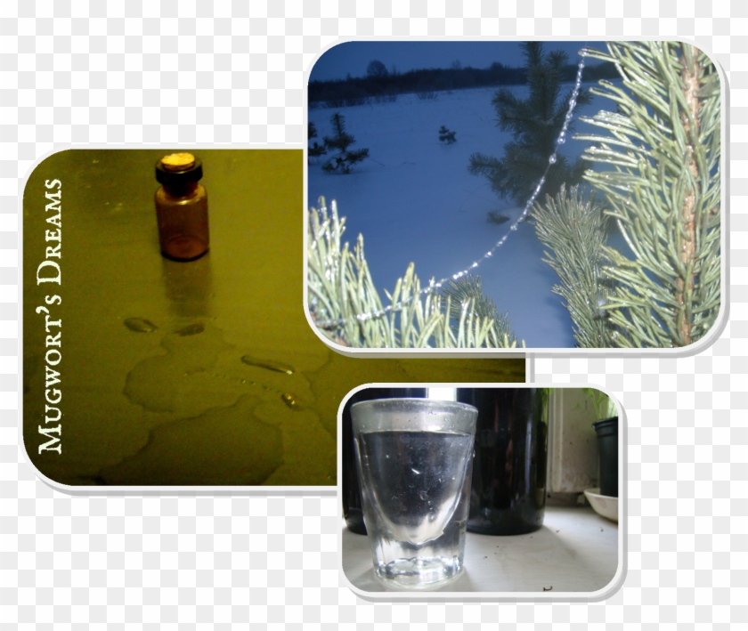 Herbal Tinctures Ii - Alcoholic Beverage Clipart