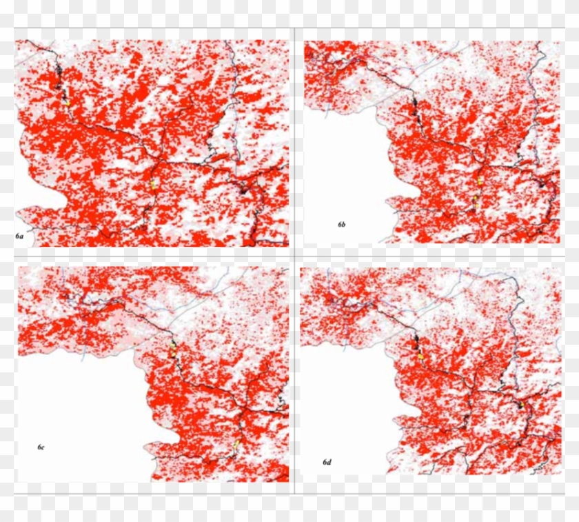 Niche Model Predictions And Field Validation For Rhododendron Clipart
