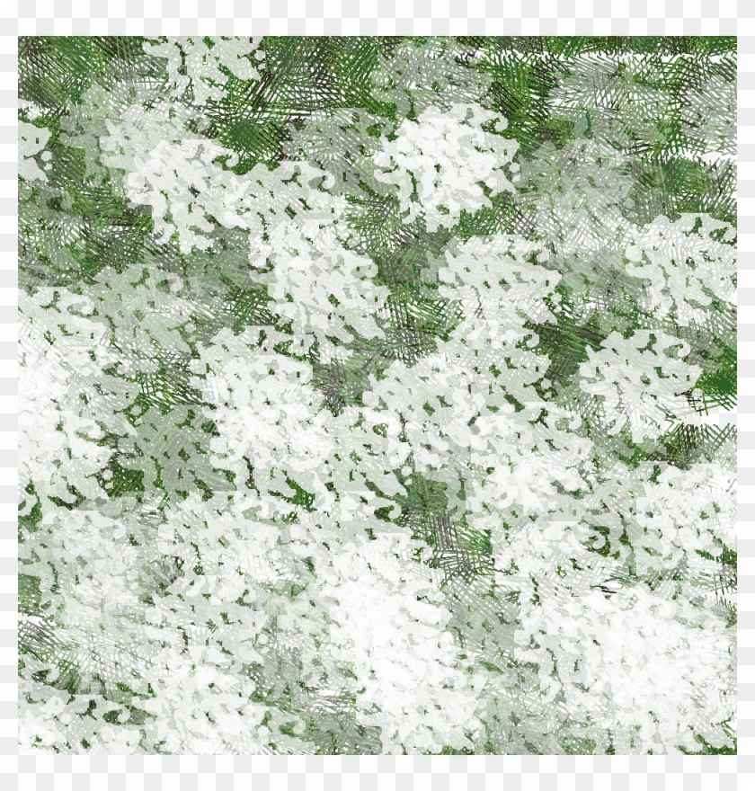 Pineneedles02 - Grass Clipart #5519946