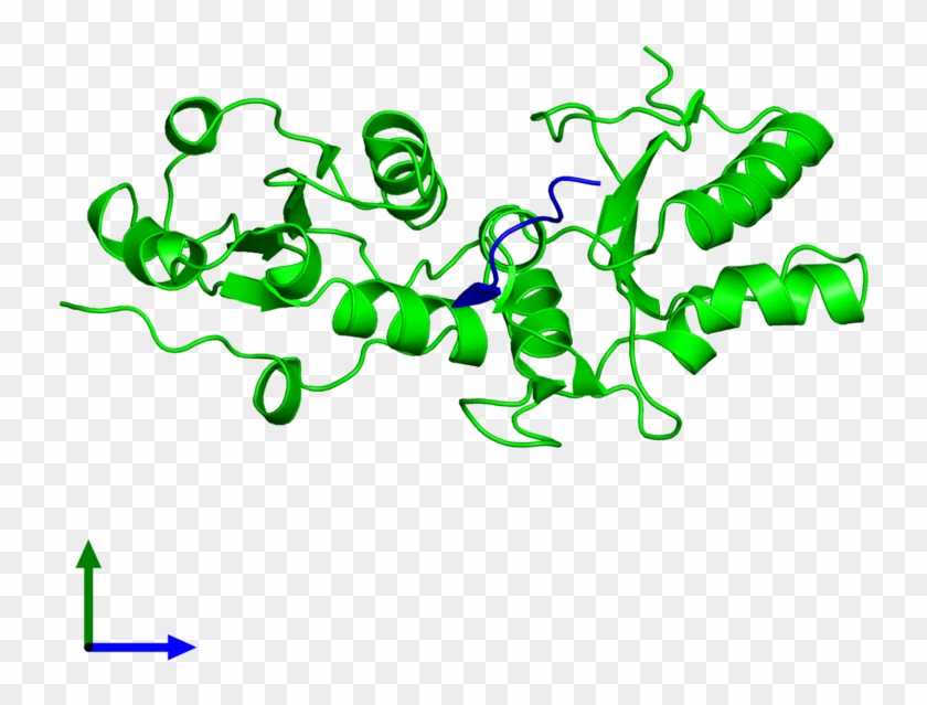 Pdb Y G Gallery Clipart #5521448