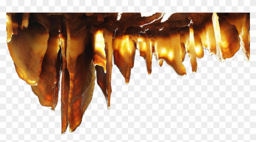 2014 11 28 - Tree Clipart