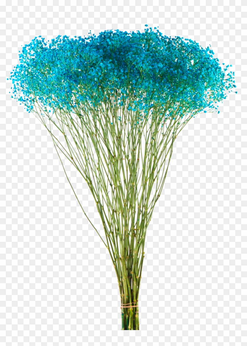 As - Grass Clipart