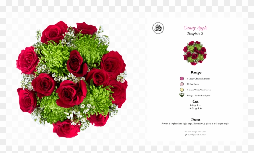 Red Candy Apple - Floribunda Clipart