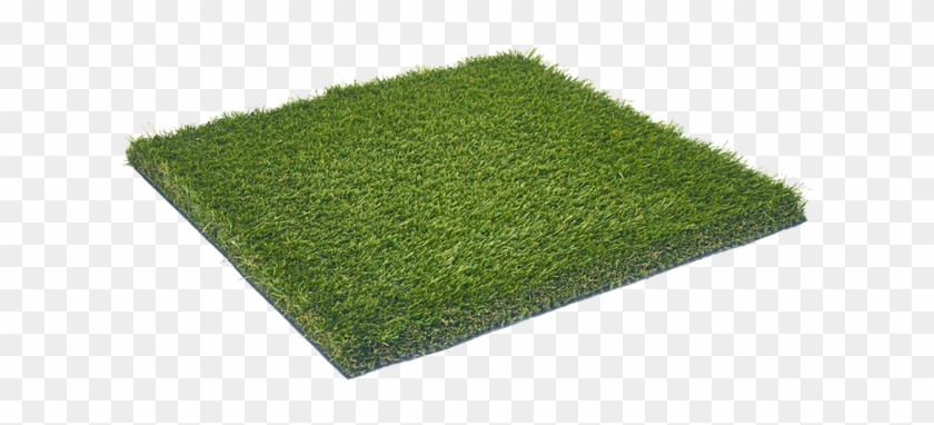 Mountain Creek Olive - Lawn Clipart