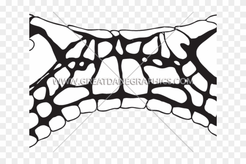 Snake Eyes Cliparts - Cartoon - Png Download #5525394