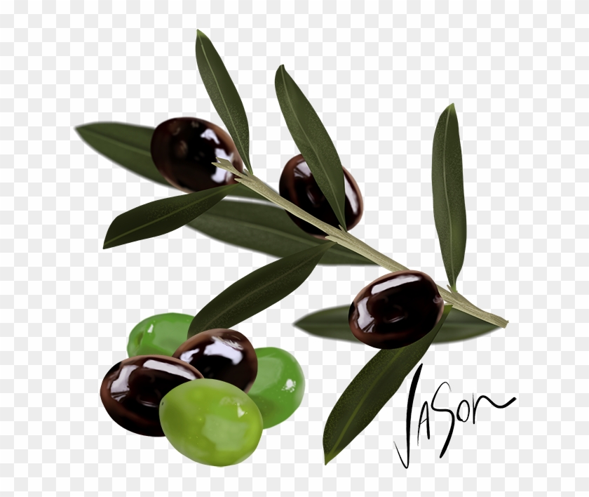 A Taste For Olives - Tasmannia Clipart #5525652