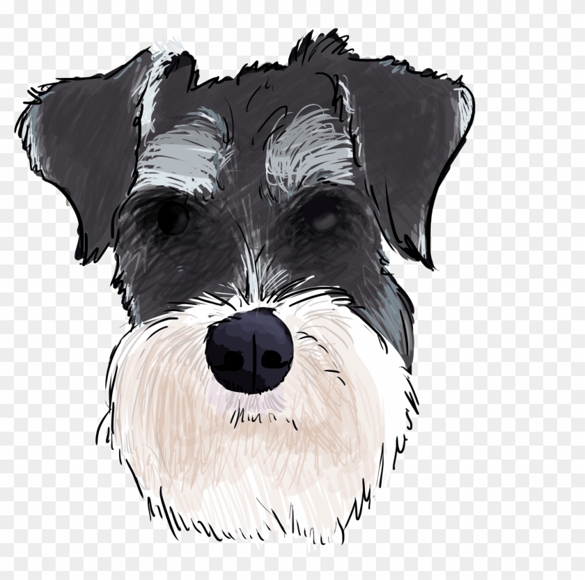 5 Why Are You A Schnauzer - Miniature Schnauzers Cartoon Png Clipart