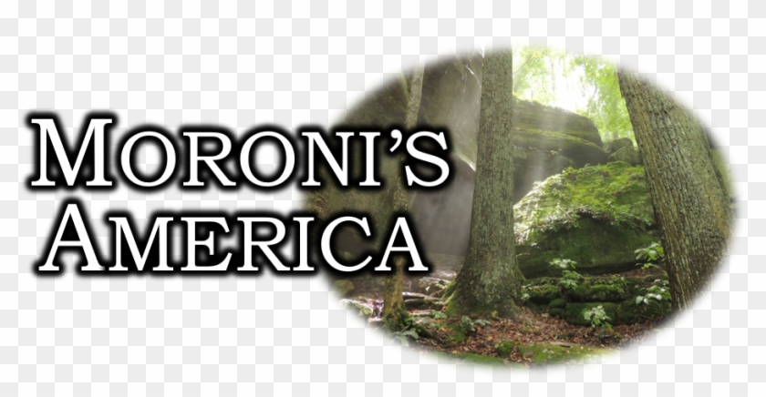 "moroni's America" The North American Setting For The - Capleton Rise Them Up Clipart #5525954