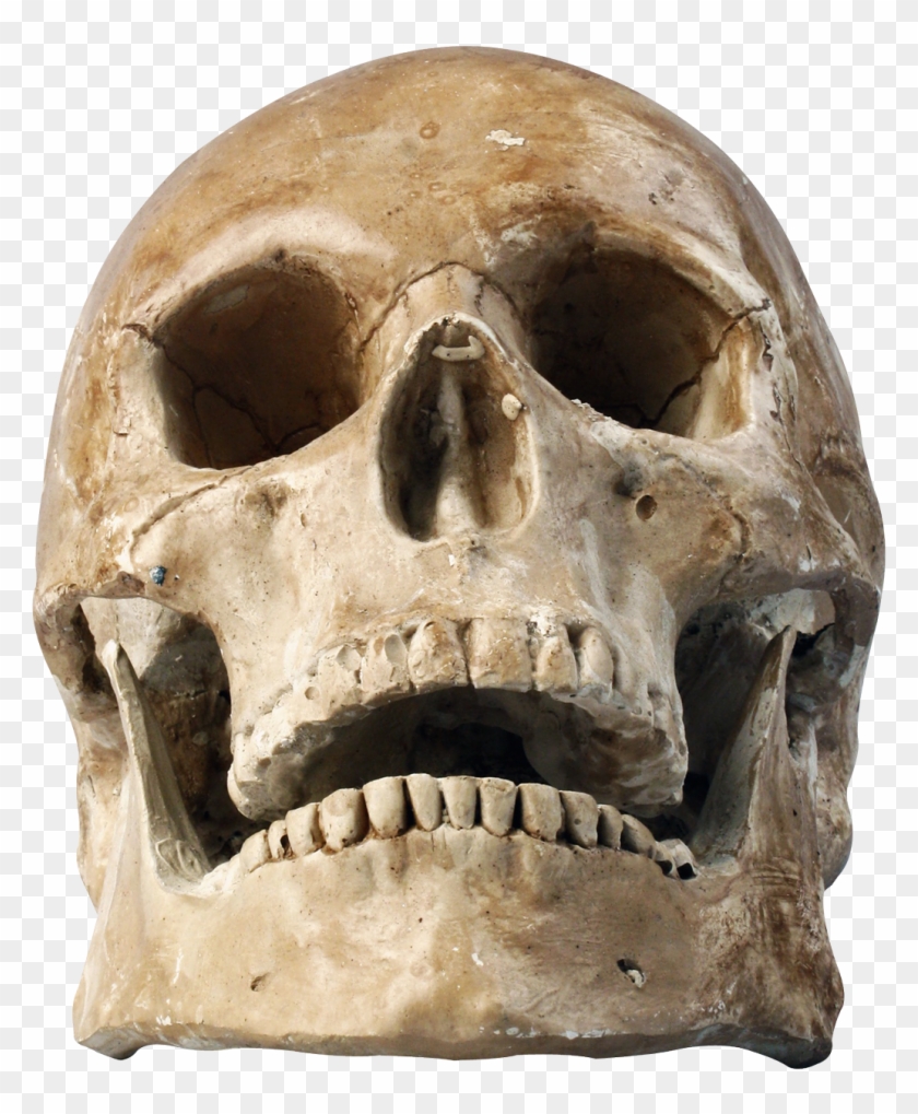 Skull Png Laugh Skeleton - It's Not Delivery It's Dysphoria Clipart