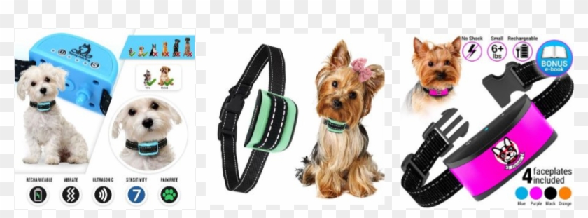 Tiny Dog Bark Collar Reviews - Yorkshire Terrier Clipart