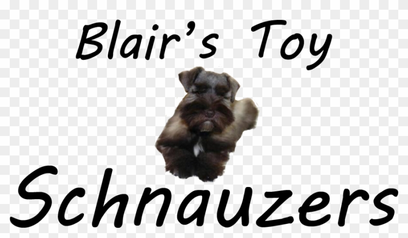 Cesky Terrier Clipart #5526470