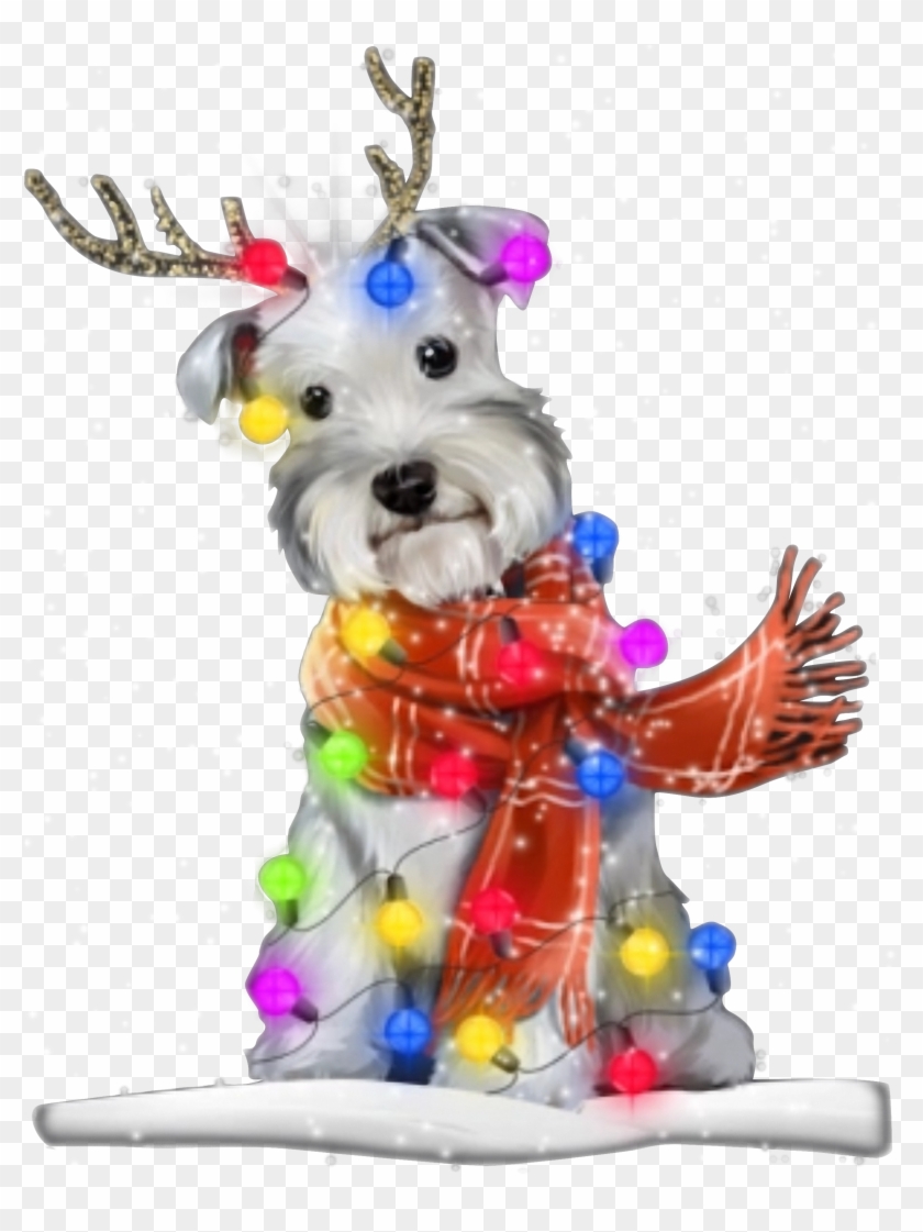 Standard Schnauzer Clipart #5526512