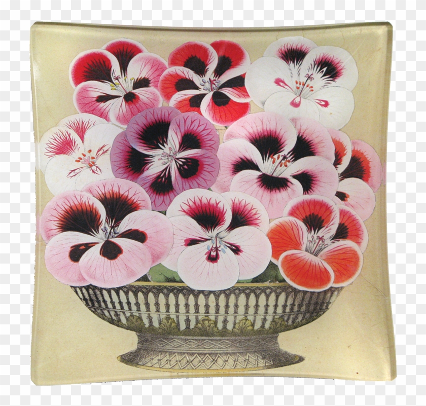 Pansy Clipart #5526696