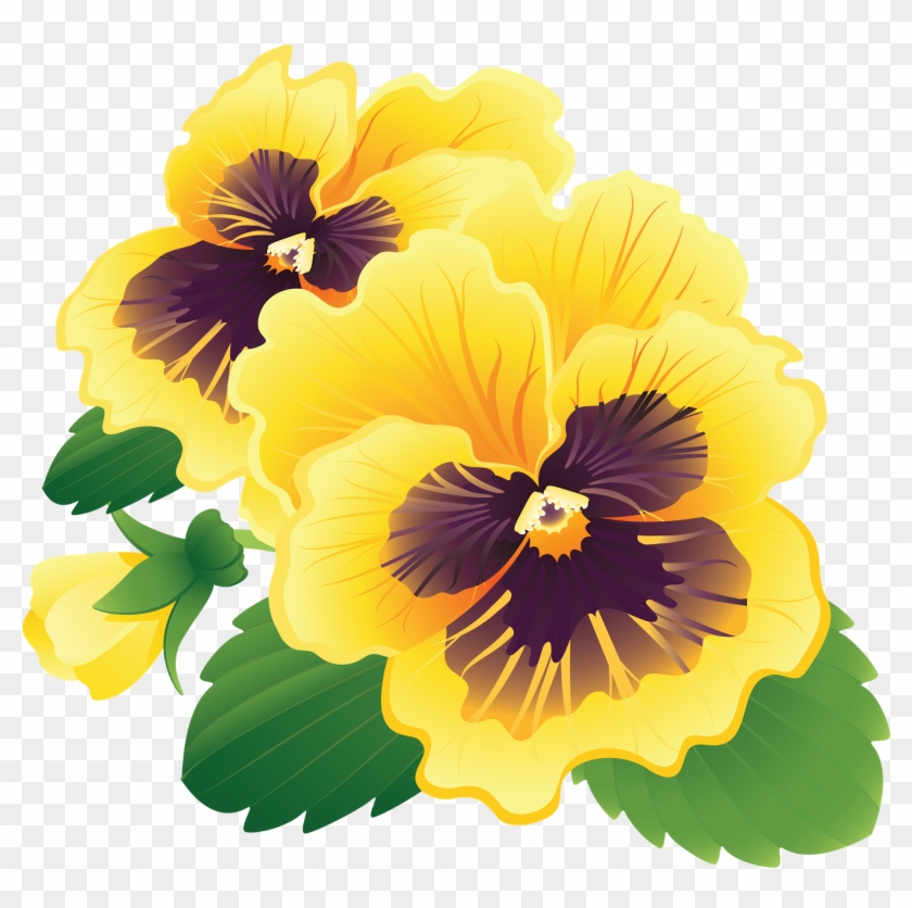 Pansy Clipart Transparent - Flower - Png Download #5526834