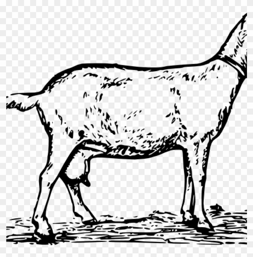 Goat Clipart Free Simple Goat Drawing Goat Clip Art - Goat Black And White - Png Download