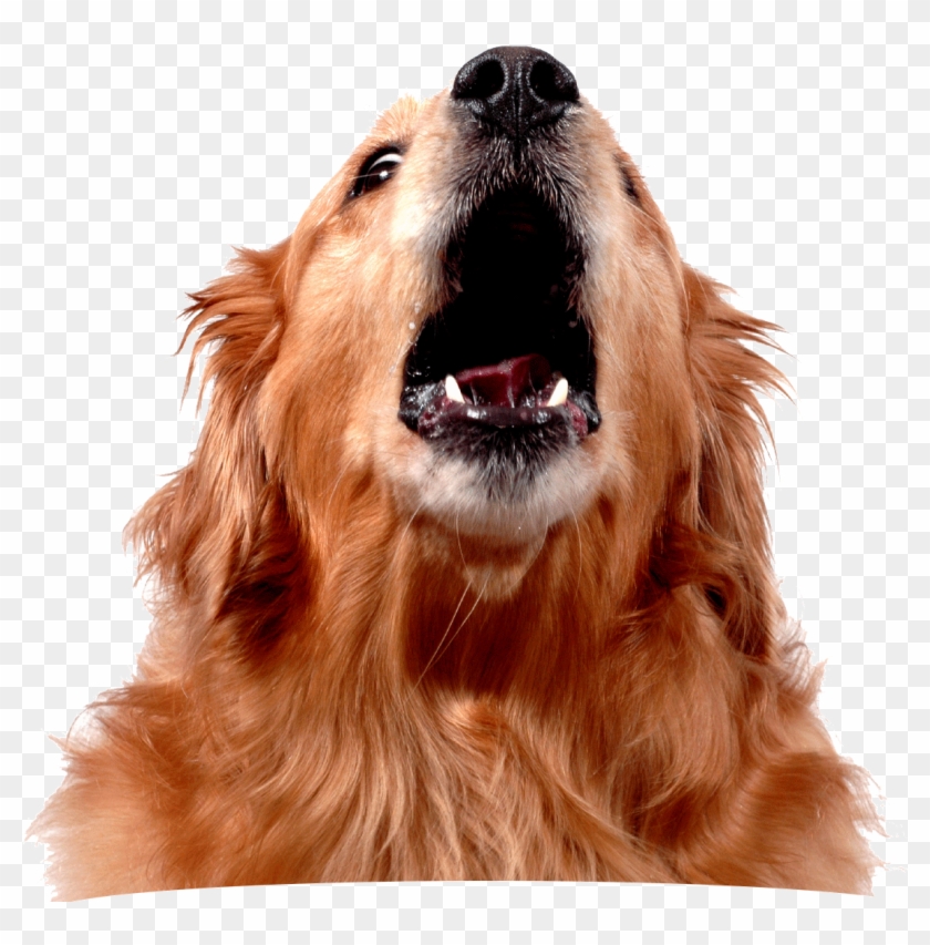 A - Dog With Talking Bubble Clipart #5527160