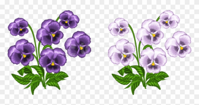 Download Purple And White Violets Png Images Background - Violets Clipart Transparent Png