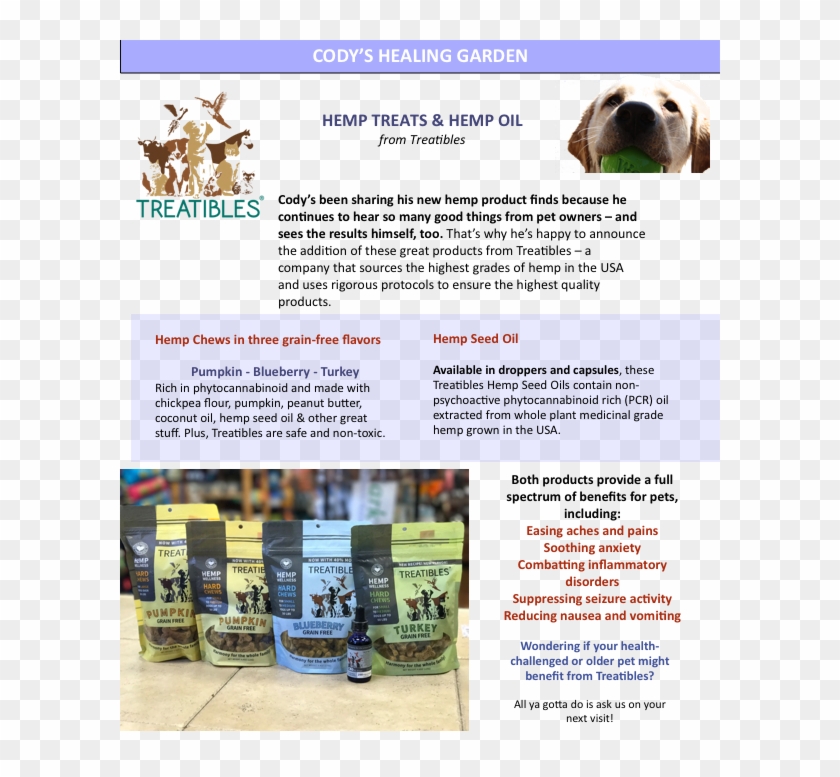 6-cody - - Companion Dog Clipart