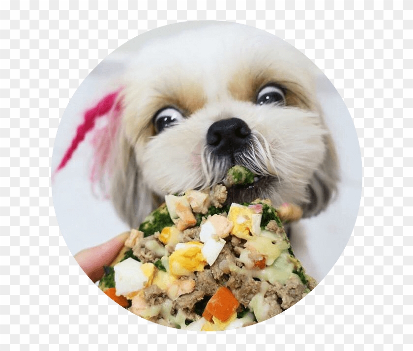 Barking Good - Human-grade Ingredients - Companion Dog Clipart #5527440