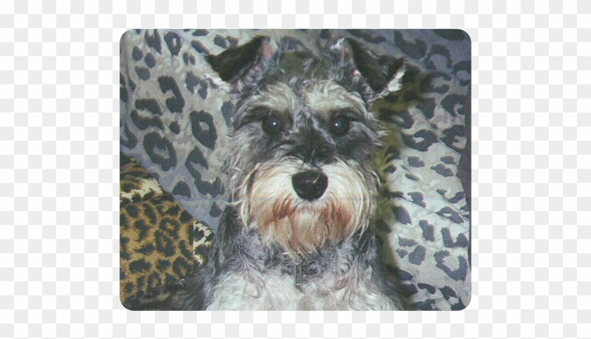 Miniature Schnauzer Clipart