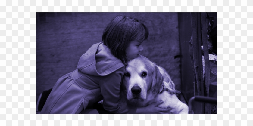 I've Had A Long, Crazed Week And There's Only One Way - Perros Y Sus Dueños Clipart