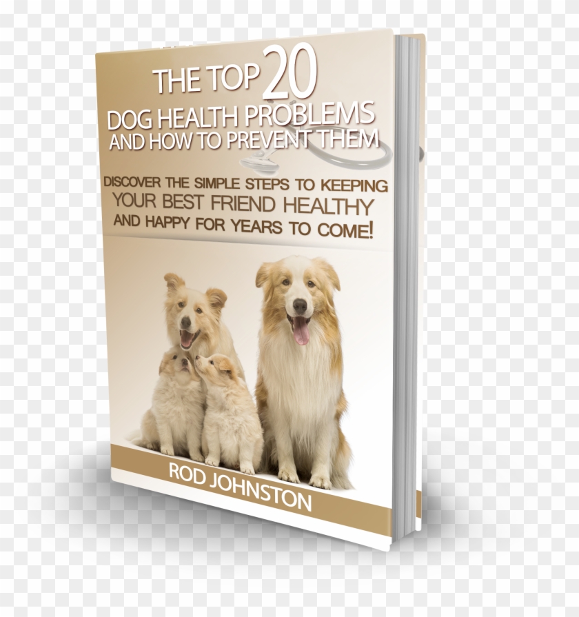 The Top 20 Dog Health Problems And How To Prevent Them - Kromfohrländer Clipart #5528029