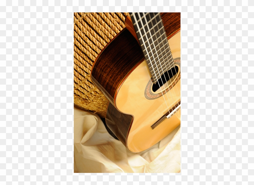 Senior-05 Side2 - Acoustic Guitar Clipart #5528254