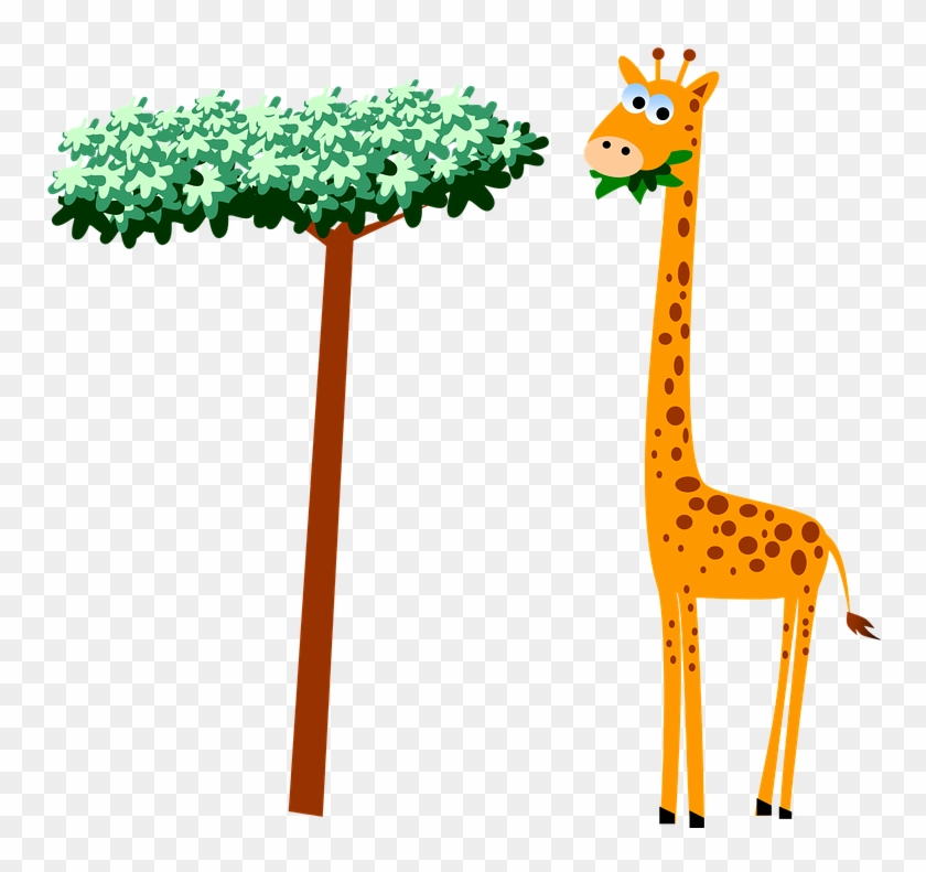 Giraffe Neck Cartoon Wildlife Safari Animal - Giraffe Clipart #5528534