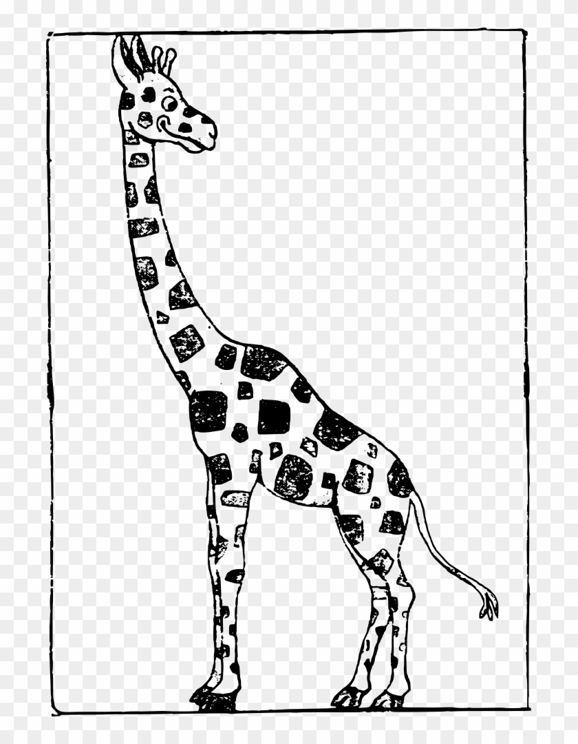 Giraffe Cartoon Images Black And White - Black And White Giraffe Free Clipart - Png Download #5528572