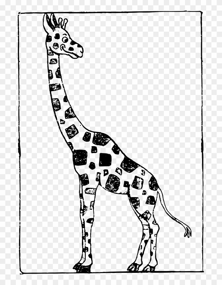 Giraffe Cartoon Images Black And White - Black And White Giraffe Free Clipart - Png Download