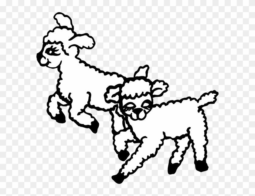 Jumping Lambs Clip Art - Lambs Clipart Black And White - Png Download #5528719