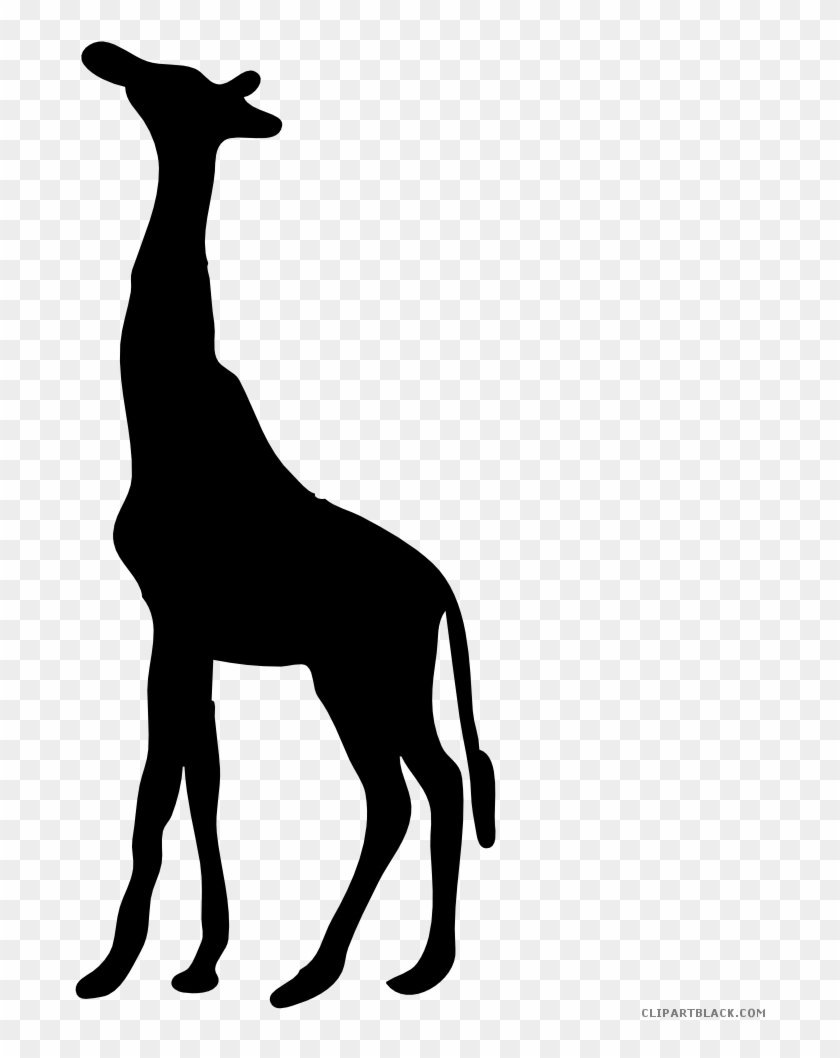 Cute Giraffe Png - Grey Giraffe Silhouette Clipart #5528910