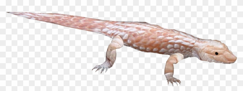 Lizard Tongue Png - Alligator Lizard Clipart