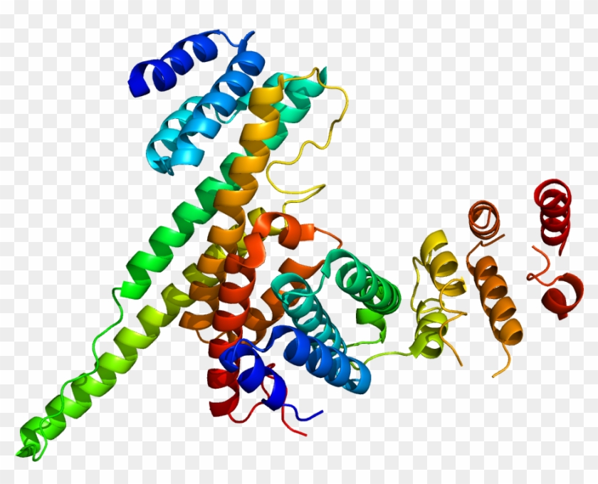 Protein Nup107 Pdb 3cqc - Nucleoporinas Clipart #5532742