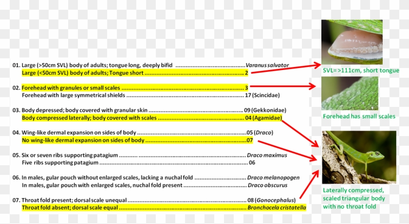 21 A And B Clipart #5532827