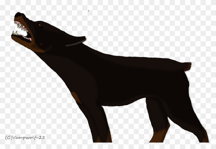 Angry Doberman By Vampwolf 22-d5s3bdk - Angry Doberman Art Clipart