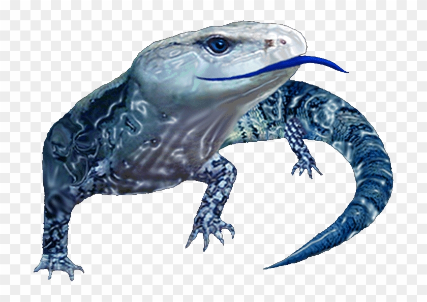 Blue Tongue Management Established - Monitor Lizard Clipart