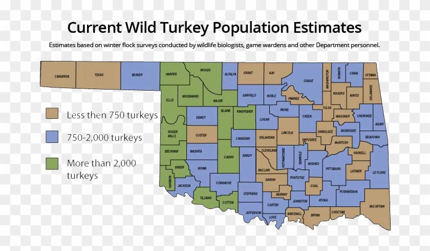 Eastern Turkeys - Oklahoma Turkey Season 2018 Clipart #5533028