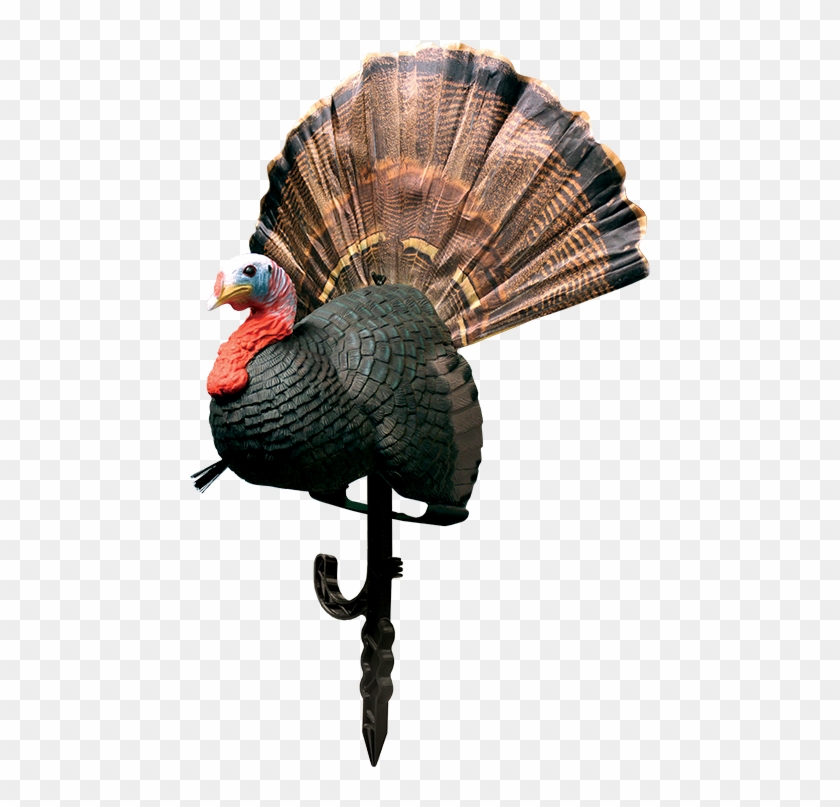 Chicken On A Stick - Primos Chicken On A Stick Turkey Decoy Clipart #5533318